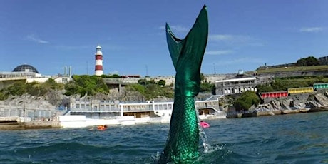 The Mermaid Challenge 2022 - Guinness World Record attempt tickets