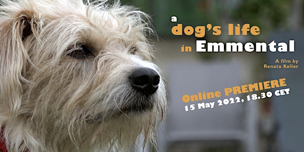Dog Life in Emmental / Hundeleben im Emmental Online Premiere