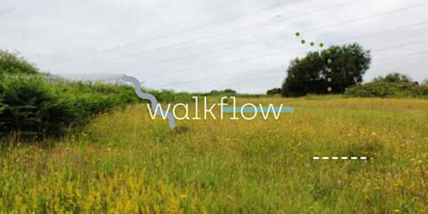 Walk ~ Flow  : Thursday 30th June, Heysham Nature Reserve