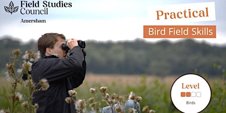 Practical Bird Field Skills