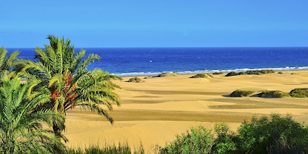 Travel Innovation Summit 2016 by Top Seeds Lab y Cabildo de Gran Canaria