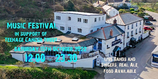 Cornwall Music Festival in support of Teenage Cancer Trust