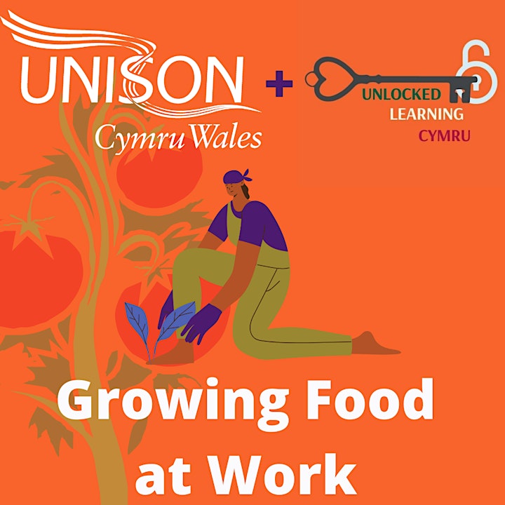 Growing Food at Work image