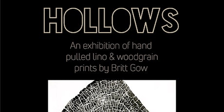 Britt Gow, "Hollows" Exhibition opening reception primary image