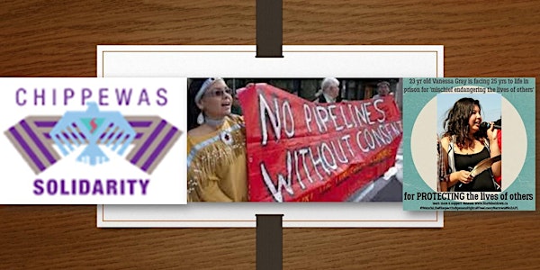 Rising Up Against Enbridge to Stop Line 9 COTTFN Fundraiser
