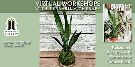 Public Virtual - Kokedama Workshop with Sanservieria (Snake Plant) tickets