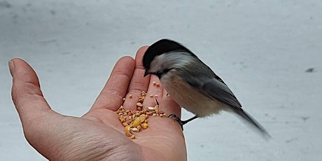 Make your own bird feeder - for kids & parents/caregivers primary image