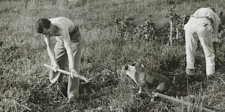 ONLINE GARDEN TALK: PLANTING PARADISE: THOSE WHO SHAPED THE HEIDE GARDENS primary image