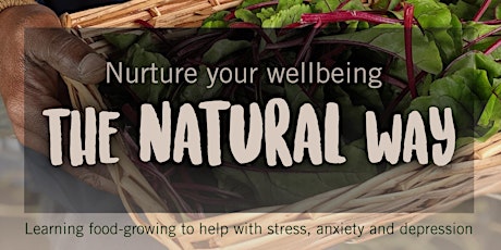 MindFood Saturdays - Sustainable Wellbeing tickets