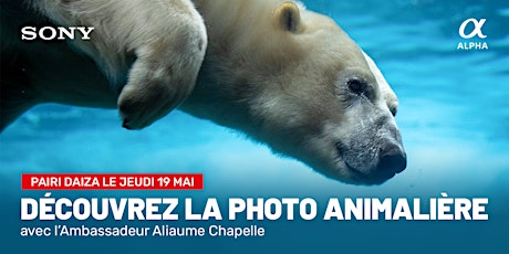 Primaire afbeelding van La photographie animalière | Apprentissage & Perfectionnement