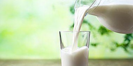 Milk Experiments - Evento recomendado para menores de 11 años bilhetes