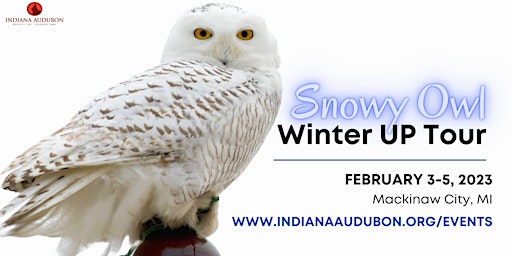 2023 Winter Snowy Owl UP Tour