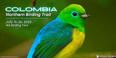 Colombia: Northern Birding Trail Tour