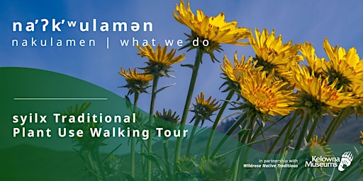 na̓ʔk̓ʷulamən (what we do): Traditional syilx Plant Use Walking Tour