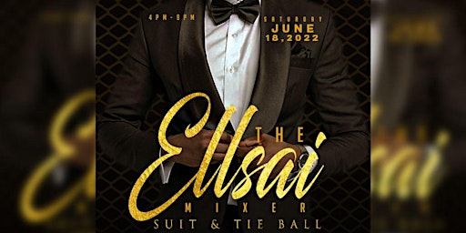 The EllSai Mixer Suit and Tie Ball - 1 Year Anniversary