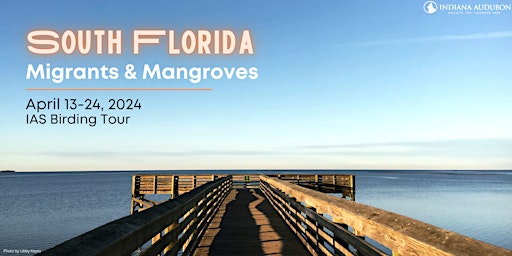 South Florida: Migrants & Mangroves Tour primary image