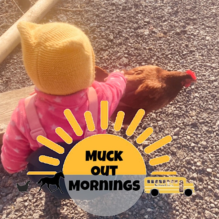 Muck out mornings image