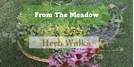 From The Meadow Afternoon Herb Walk 2022 tickets