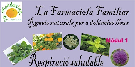 Imagen principal de La farmaciola familiar. Mòdul 1: respiració saludable