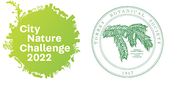 Calvert Vaux Park Bio Blitz - City Nature Challenge 2022