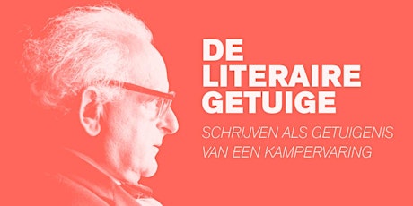 Primaire afbeelding van De literaire getuige - Schrijven als getuigenis van een kampervaring