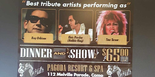 Image principale de Tribute To The Legends Roy Orbison,Tina Turner and Elvis Presley