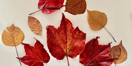 Art Therapy Workshop - An Ode to Autumn