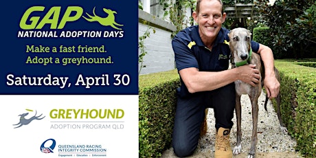 2022 Greyhound National Adoption Open Day primary image