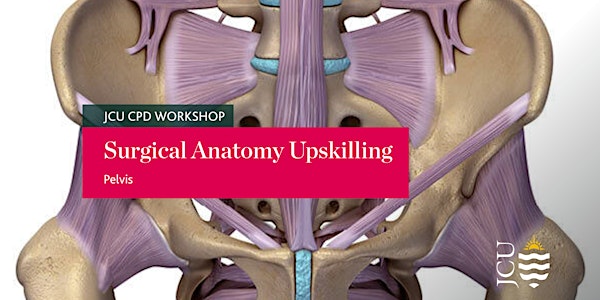 Surgical Anatomy Upskilling - Pelvis