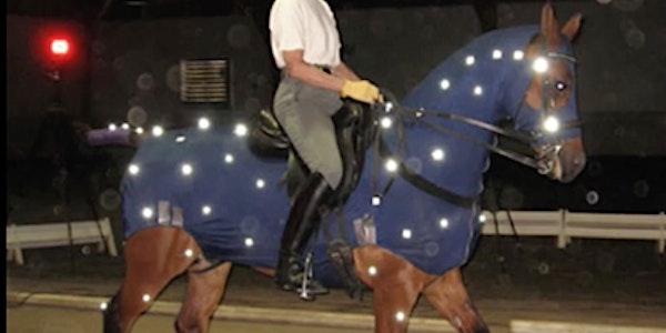 The Locomotor Apparatus of the Horse: from a Biomechanical Perspective