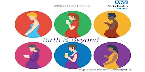 Birth and Beyond Online MONDAYS & TUESDAYS 09:30am -12:00pm (2 week course)