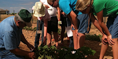 USU Extension Master Gardener primary image