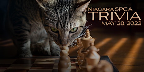 Niagara SPCA Team Trivia Challenge primary image