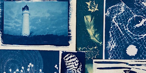 Cyanotype  - a day of experimentation with Kit Martin
