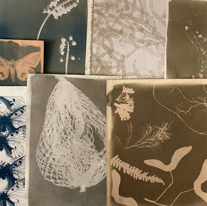 Cyanotype  - a day of experimentation with Kit Martin image