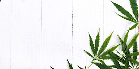 Marijuana: Possibilité d'affaire et réglementation primary image