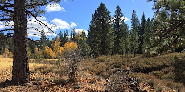 Elizabethtown Meadows and Waddle Ranch - 2022