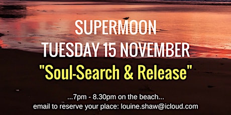 MindSight Hub™️ - SuperMoon : Soul-Search & Release primary image