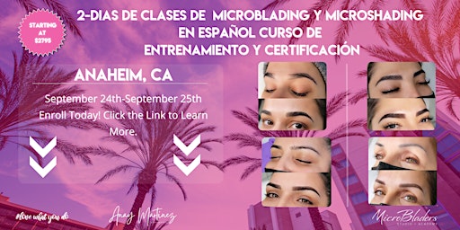 Imagen principal de Clases de Microblading y  Microshading, 2 días en Español (Anaheim, CA )