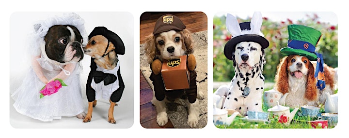 Doggie Costume Parade image