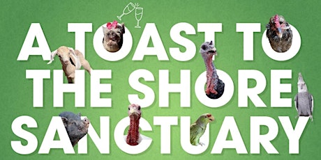 A Toast to The Shore Sanctuary tickets