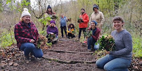 Stanmer Wellbeing Gardens - Volunteer Activity Sessions tickets