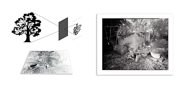 Pinhole Photography at the Little Forest