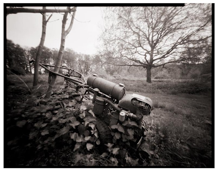 Pinhole Photography at the Little Forest image