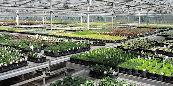 "An Integrated Approach to Controlling Ornamental Production Pests"
