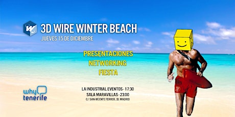 Imagen principal de 3D WIRE WINTER BEACH