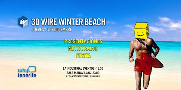 3D WIRE WINTER BEACH
