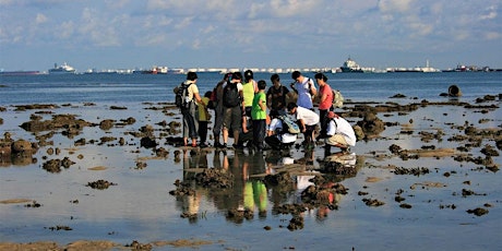 Watery Wonderland - Intertidal Walk at Pulau Hantu tickets
