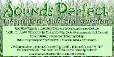 The Sounds Perfect experience of healing through vibration primary image