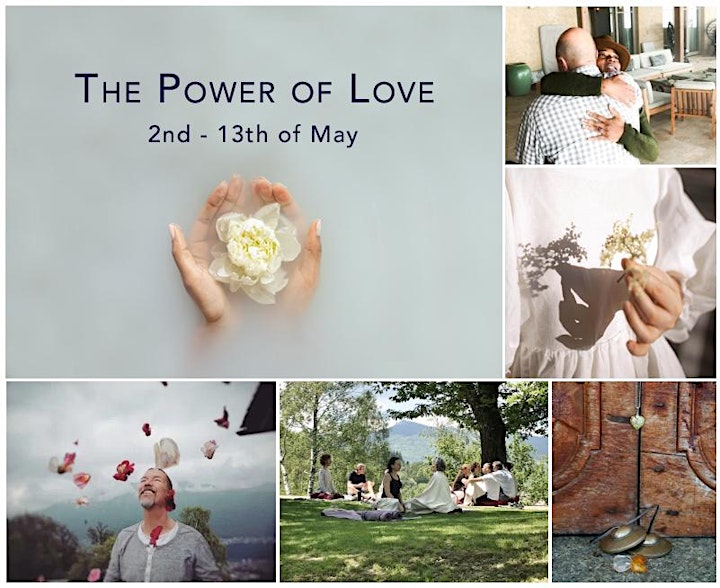 
		The Power of Love : Online Guided Meditation Course image
